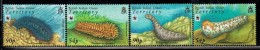 2008 British Indian Ocean Territory Anniversary WWF Sea Cucumber Marine  Complete Set Of 4  MNH - Britisches Territorium Im Indischen Ozean