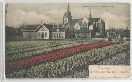 Pays Bas - Noord Holland - Overveen Hyacinthenveld Met De Kerk Fleurs Hyacinthe , Frolich Haarlem 236 - Other & Unclassified