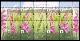 Moldova 2016 WWF Gladiolus Flowers Sheetlet Of 2 Sets MNH - Moldavië