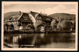 6564 - Alte Foto Ansichtskarte - Ilsenburg - Am Forellenteich - Gaststätte - Willi Koch - Gel 1965 - Ilsenburg