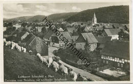 Scharzfeld - Panorama Vom Steinberg Mit Weidender Schafherde - Foto-AK 1932 - Verlag I. Wollstein Berlin - Herzberg