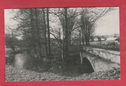 Presles - La Biesme Aux Près Burniaux  ( Voir Verso ) - Aiseau-Presles