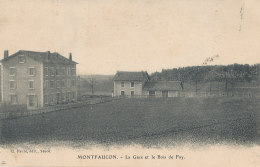 43 // MONTFAUCON    La Gare Et Le Bois De Fay - Montfaucon En Velay
