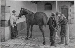 CPA Maréchal Ferrant Métier Ferrage Chevaux Horse Blacksmith Non Circulé - Kunsthandwerk