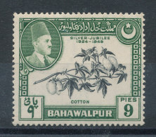 Bahawalpur N°20** Coton - Bahawalpur
