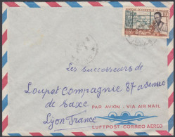 French West Africa 1952, Airmail Cover Nguigmi To Lyon W./postmark "Nguigmi" - Covers & Documents