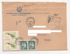 ROUMANIE Bucarest 1965 - Registered Letter Lettre Recommandée N° YT  2054 / T. Faune. / Reptile /  Pyton Molurus. Python - Covers & Documents