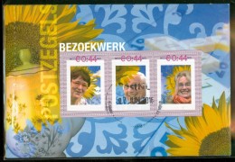 NEDERLAND * NVPH  BEZOEKWERK  (2) *  BLOK * BLOC * BLOCK Van 3 * NETHERLANDS * GEBRUIKT - Gebraucht