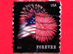 U.S. - USA - STATI UNITI - Usato - 2014 - Bandiera E Fuochi D'artificio - Forever - Initial Value 49 C - Gebruikt