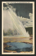 YELLOWSTONE National Park USA Wyoming DAISY GEYSER 1949 - Yellowstone