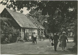 Neuglobsow - Stechlinseestrasse - Foto-AK Grossformat 60er Jahre - Verlag H. Sander KG Berlin - Neuglobsow