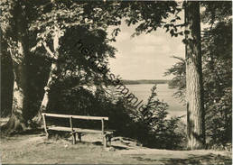 Neuglobsow - Blick Vom Fenchelberg Auf Den Stechlin-See - Foto-AK Grossformat 60er Jahre - Verlag Foto-Hanich Dresden - Neuglobsow