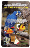 RUSSIA LENINGRAD - SANKT PETERBURG BIRD Parots PHONECARD USED  CARDS  (LOT - 5 - 9 ) - Parrots