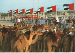 EMIRATS ARABES UNIS : National Folklore - Verenigde Arabische Emiraten