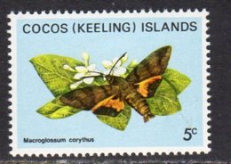 Cocos (Keeling) Islands 1982 Butterflies Definitives 5c Value, MNH (AU) - Cocos (Keeling) Islands