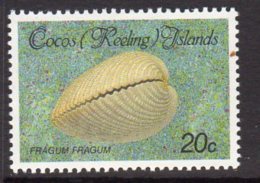 Cocos (Keeling) Islands 1985 Shells & Molluscs Definitives 20c Value, MNH (AU) - Cocos (Keeling) Islands