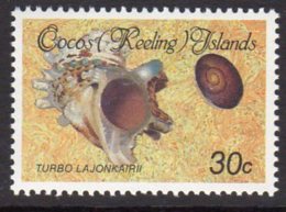 Cocos (Keeling) Islands 1985 Shells & Molluscs Definitives 30c Value, MNH (AU) - Cocos (Keeling) Islands