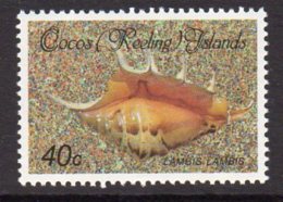 Cocos (Keeling) Islands 1985 Shells & Molluscs Definitives 40c Value, MNH (AU) - Cocos (Keeling) Islands