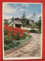 Hamburg - Planten Un Blomen - Internationale Gartenbau Ausstellung 1953: Im Rosengarten - Mitte