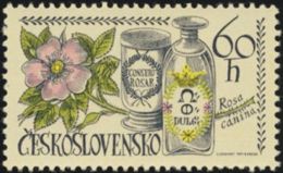 Czechoslovakia / Stamps (1971) 1915: Internat. Congress Of History Of Pharmacy; Rosa Canina (paint. J. Lukavsky) - Geneeskrachtige Planten