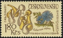 Czechoslovakia / Stamps (1971) 1918: Internat. Congress Of History Of Pharmacy; Cichorium Inlybus (paint. J. Lukavsky) - Geneeskrachtige Planten