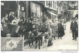 Repoduction De CP... Attelage Du Pauvre - Picardie