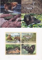 United Nations New York 2000 Animals / Endangered Species 4v Maxicard (32472) - Maximumkarten