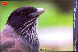 BIRDS-BIRDS OF THE HIMALAYAS-BLACK HEADED JAY-INDIA POST PPC-MNH-BX1-364 - Pics & Grimpeurs