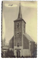 BUZET ( Lez Luttre ) - Pont à Celles - L' Eglise - Carte Photo - Pont-a-Celles