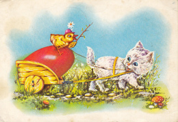 49984- CHICKEN, CAT, CART, EASTER EGG, MUSHROOMS - Pilze