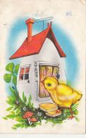 49985- CHICKEN, EGG HOUSE, CLOVER, MUSHROOMS - Paddestoelen