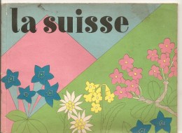 Suisse La Suisse Ouvrage De 48 Pages Publié En 1929 Par Le Service Des Chemins De Fer Fédéraux Suisse à Berne - Otros