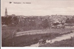 CARTE POSTALE    MARINGUES 63   Vue Générale - Maringues