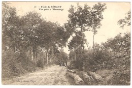 Forêt De SENART  ----   Vue Prise à L'Hermitage - Sénart