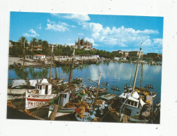 Cp , Bateaux De Pêche , Espagne , PALMA DE MALLORCA , Detalle Del Puerto , Vierge , N° PM 2 - Visvangst