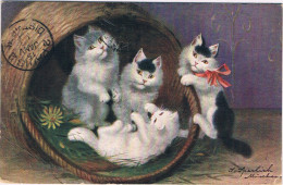 4 Chatons  - Cats -katzen -4 Poesjes Met Bloemen- Sperlich - Katten