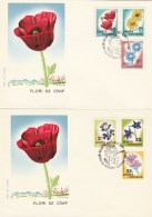 #BV3577  FIELD FLOWERS, PLANTS, POPPY ,COVERS FDC X 2,  1975, ROMANIA. - FDC