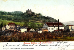 AC 630 - C P A -ALLEMAGNE - SCHLOSS ROTTELN MIT ROTTLERWEILER - Leutkirch I. Allg.