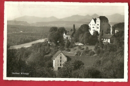 HBO-10  Schloss Wildegg  Gemeinde Möriken-Wildegg . Tempel Der Schloss. Gelaufen In 1944 - Wildegg