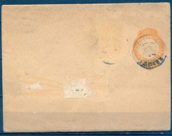 BRASIL 1894 , FAJA PARA PRENSA , RIO GRANDE DO SUL - Storia Postale