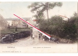 LIERNEUX - Vieux Chemin De Verleumont - Carte Colorée Et Animée - Circulée En 1900 - Lierneux