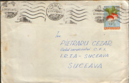Romania - Letter Circulated In 1963 , Stamp With Vegetables, Radishes - Lettres & Documents