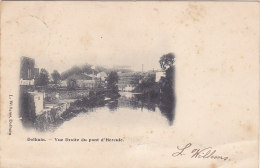 Dolhain - Vue Droite Du Pont D'Hercule (précurseur, Edit. L. Willems, Signée L. Willems ?) - Limburg