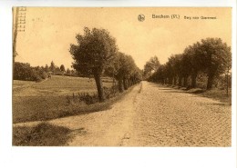 18341   -   Berchem     -     Berg Naar Quaremont - Kluisbergen