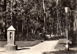 Zerbst Lindau - S/w Diätsanatorium Eingang Zum Kurpark - Zerbst