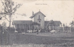 CARTE POSTALE     Chenil Du PERRAY 78 - Le Perray En Yvelines