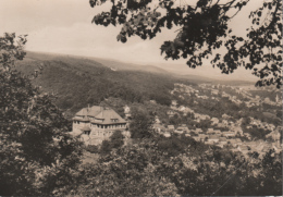 Quedlinburg Gernrode - S/w Blick Vom Aussichtsturm Einzelnes Bäumchen - Quedlinburg