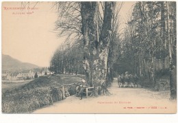 REMIREMONT - Promenade Du Calvaire - Remiremont