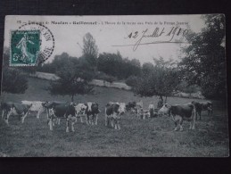 SERAINCOURT (Val-d'Oise) - MEULAN-GAILLONNET - L'Heure De La Traite Aux Prés De La Ferme Jeanne - Animée-12 Juillet 1910 - Seraincourt