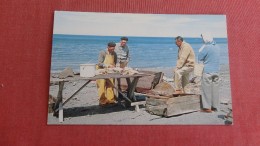 > Canada > Quebec> Gaspé  Fisherman Splitting Codfish On Beach   ------ =ref 2349 - Gaspé